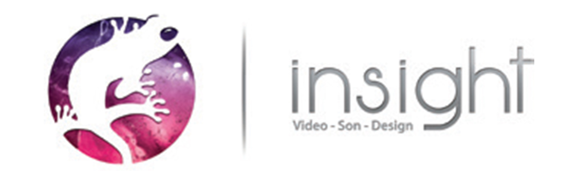 Logotype INSIGHT