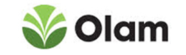 Logotype OLAM