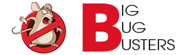 Logotype Big bug Busters