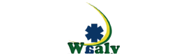 Logotype GYNECOLOGIE - CLINIQUE WAALI - DR SISSOKO