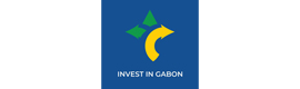 Logotype ANPI-GABON (AGENCE NATIONALE DE PROMOTION DES INVESTISSEMENTS AU GABON)