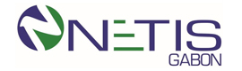 Logotype NETIS GABON