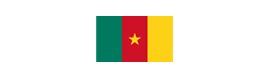 Logotype AMBASSADE DE LA RÉPUBLIQUE DU CAMEROUN