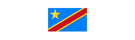 Logotype AMBASSADE DE LA RÉPUBLIQUE DÉMOCRATIQUE DU CONGO