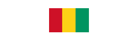 Logotype AMBASSADE DE GUINÉE CONAKRY