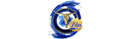 Logotype BLUE BY O