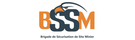 Logotype BSSM