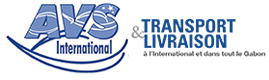 Logotype AVS International