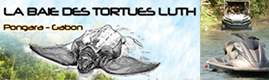 Logotype LA BAIE DES TORTUES LUTH